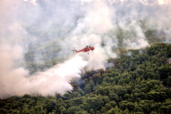 希腊森林大火致87死