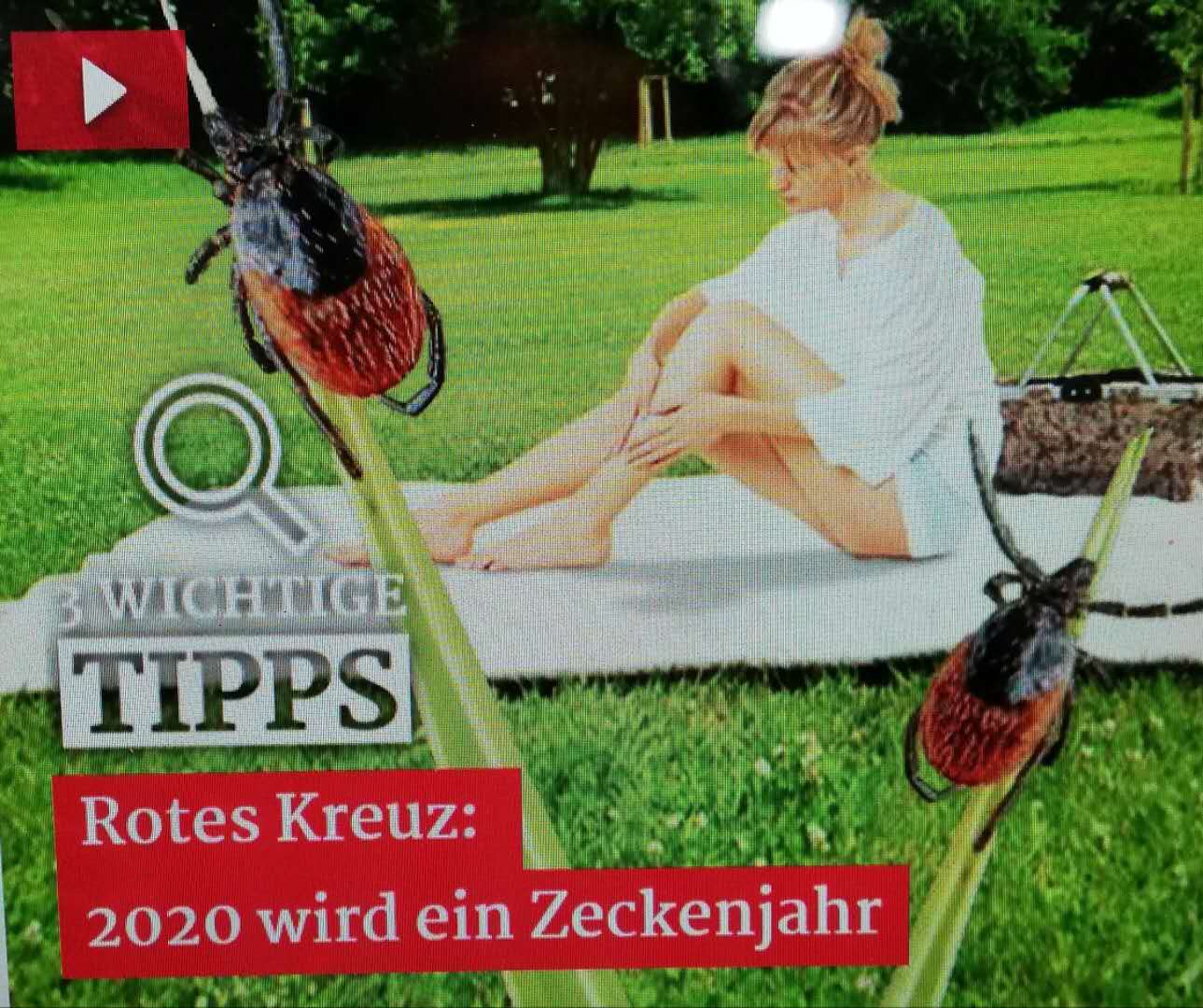 德国红十字会报告 今年将出现多于往年的蜱虫 欧洲新闻 欧洲新侨网