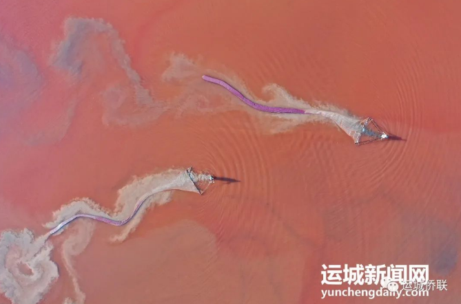 亲情中华黄河故事｜彩色盐湖上的玫瑰色收获