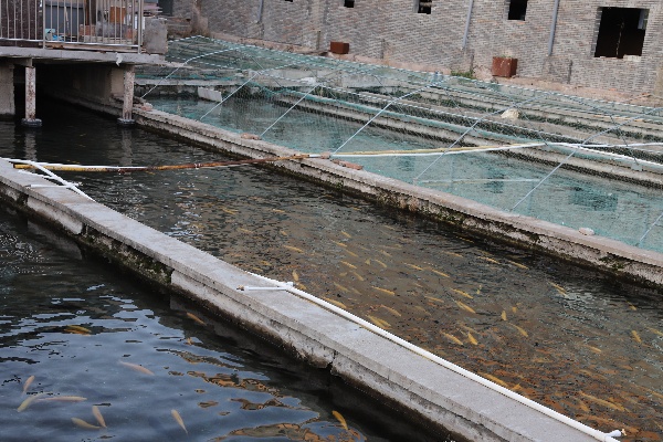 20251019225708578.jpg 微信图片_20251019225315_9_2394.jpg