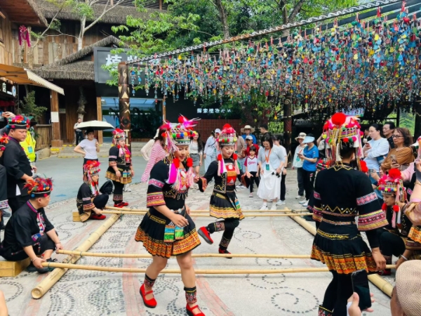 西双版纳的双面镜像：原始森林的守护与热带花园的创新